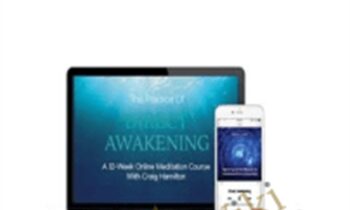 The Practice Of Direct Awakening - Craig Hamilton