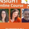 The Principles of a Fulfilling & High-Performance Life -  InSight