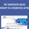 The Therapeutic Milieu: Therapy in a Residential Setting - Bruno Bettelheim