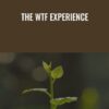 The WTF Experience - Amir Zoghi