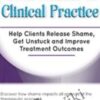 Toxic Shame in Clinical Practice: Help Clients Release Shame, Get Unstuck and Improve Treatment Outcomes - Patti Ashley