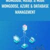 MongoDB, NoSQL & Node Mongoose, Azure & Database Management - True Investment