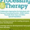 Vision Processing & Therapy: Collaborative Approaches for Individuals with Sensory Processing Disorders, ADHD, Autism, Traumatic Brain Injury & Other Special Populations - Christine Winter-Rundell