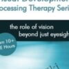 Visual Development Processing Therapy Series - Leonard J. Press & Christine Winter-Rundell