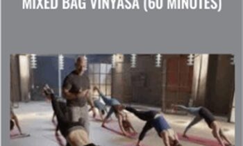 Vytas Baskauskas – Mixed Bag Vinyasa (60 Minutes) – Udaya Yoga