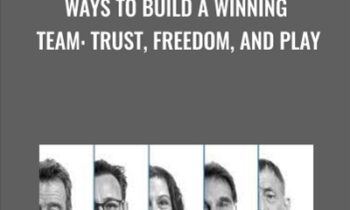 Ways to Build a Winning Team: Trust, Freedom, and Play