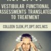 What If It’s Not BPPV? Vestibular Functional Assessments Translated to Treatment - Colleen Sleik