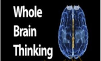 Whole Brain Thinking – Mark Buchanan
