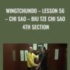 WingTchunDo – Lesson 56 – Chi Sao – Biu Tze Chi Sao 4th Section - Sifu Fernandez