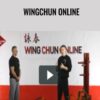 Wingchun Online - CoSn Ward