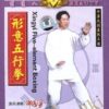 Xingyi Five Elements Boxing - Adam Hsu