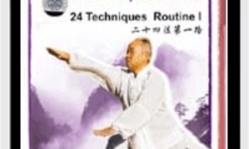 Shaolin Damo (Bodhidharma) Weaponed Series - Yan Zhen Fa