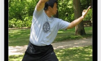 Yin Style Bagua – Seizing and Grasping - He Jinbao