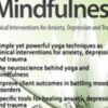 Yoga & Mindfulness: Clinical Interventions for Anxiety, Depression and Trauma - Mary NurrieStearns
