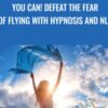 You Can! Defeat the Fear of Flying with Hypnosis and NLP - Matthew Barnett