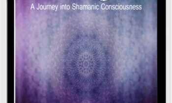 VisionQuest (NeuroFlow Series) - iAwake Technologies