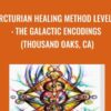 Arcturian Healing Method Level 2 - the Galactic Encodings (Thousand Oaks, CA)