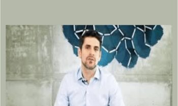 The 100 Tasks Playbook - Martin Bell