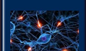 Quantum Mind Power 2.0 - Morry Zelcovitch
