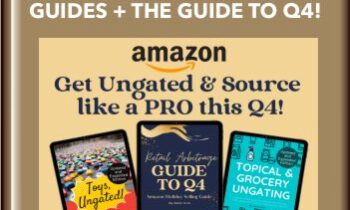 US Q4 Amazon Selling Bundle: Both Ungating Guides + the Guide to Q4! - Nikki Kirk