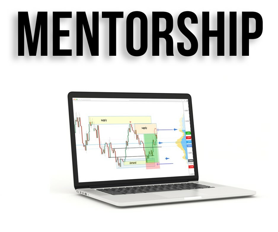 Mentorship program "Final edition" - illyrianfx