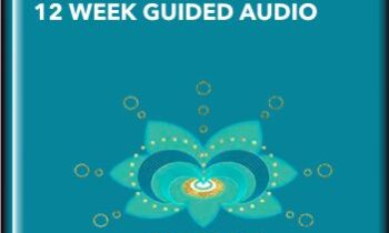 Stronger Immune Health and Living Allergy Free -12 Week Guided Audio Program - Kimberlie Carlson