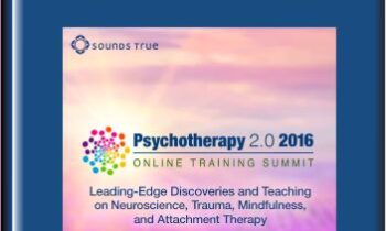Psychotherapy 2.0 2016 Online Training Summit - Diane Poole Heller