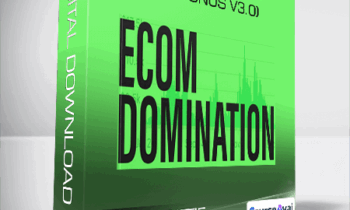 James Beattie - Ecom Domination 4.0 (BONUS V3.0)