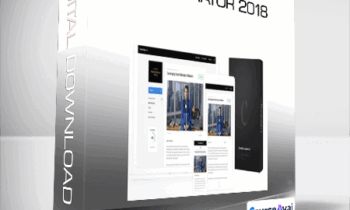 Consulting Accelerator 2018 from Sam Ovens