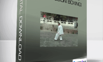 Qiao Xiuchuan - Da Bei Quan (Great Compassion Boxing)