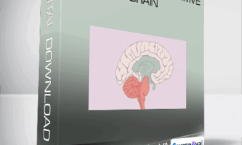 Rick Wilkes & Cathy VArtuli - Trauma and the Primitive Brain
