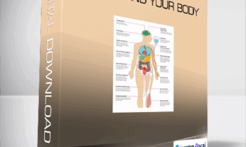 Stress and Your Body
