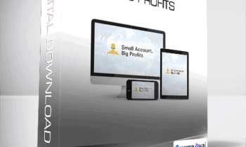 Walter Peters - Small Account Big Profits