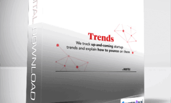 The Hustle - Trends