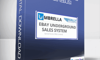 Roger and Barry - eBay Underground Sales (eBus)