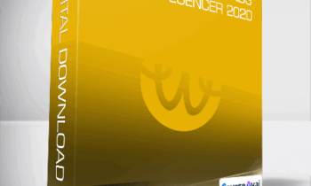Wired Creatives - Working With Brands as an Influencer 2020