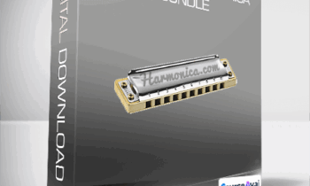 JP Allen - Complete Harmonica Bundle