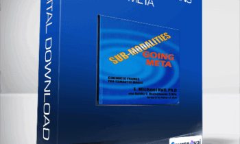 L. Michael Hall and Bob Bodenhamer - Sub-Modalities Going Meta