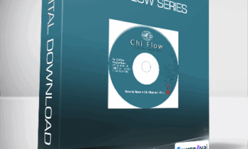 Master Waysun Liao - Chi Flow Series