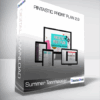 Summer Tannhauser - Pintastic Profit Plan 2.0