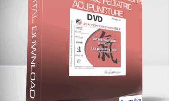 Stephen Birch - Introduction to Shonishin: Japanese Pediatric Acupuncture