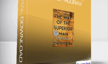 David Deida - The Superior Man Online Program