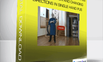 Master Bob - Taichi-Connect - Online Taichi Class - Chi Flow Session and Changing Directions in Single Hand Pus