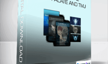 Lyon Institute - CranioSacral - Hard Palate and TMJ