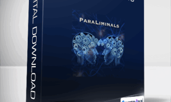Paul Scheele - Paraliminal Resets