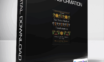 HeatherAsh Amara - The Toltec Path of Transformation
