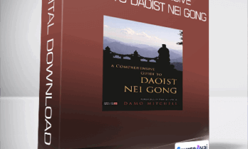 Damo Mitchell - A Comprehensive Guide to Daoist Nei Gong