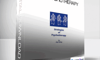 Jay Haley - Strategies of Psychotherapy