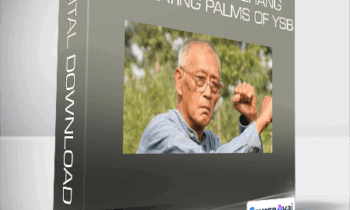 Liu Shichang - Yin style Baguazhang - Penetrating Palms of YSB