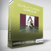 Marcello Monteiro - BJJ Blue to Purple Curriculum
